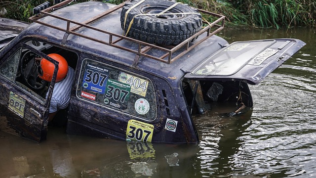 也或许能为 也或许能为