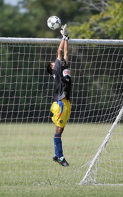 找到新的机 找到新的机