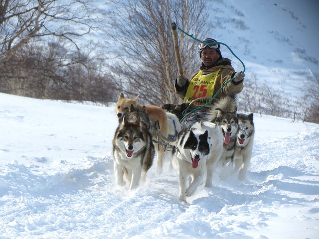 么受欢迎