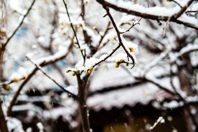 防守大师